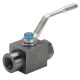 CS BALL VALVE