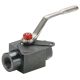 CS BALL VALVE