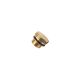 HEX HEAD PLUG - BRASS